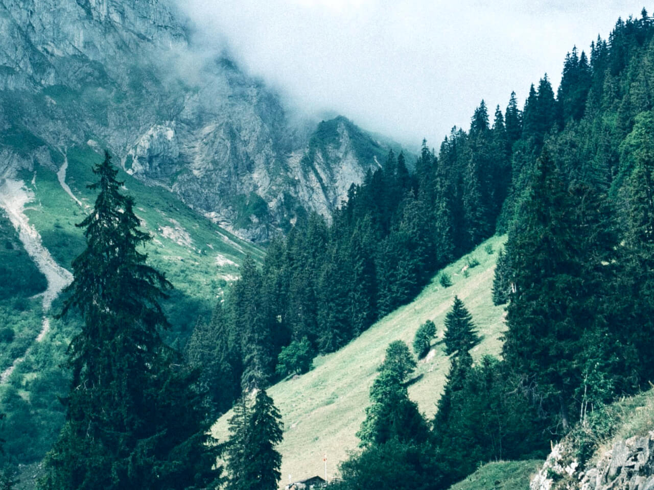 LOVING OUR PLANET IS SECOND NATURE