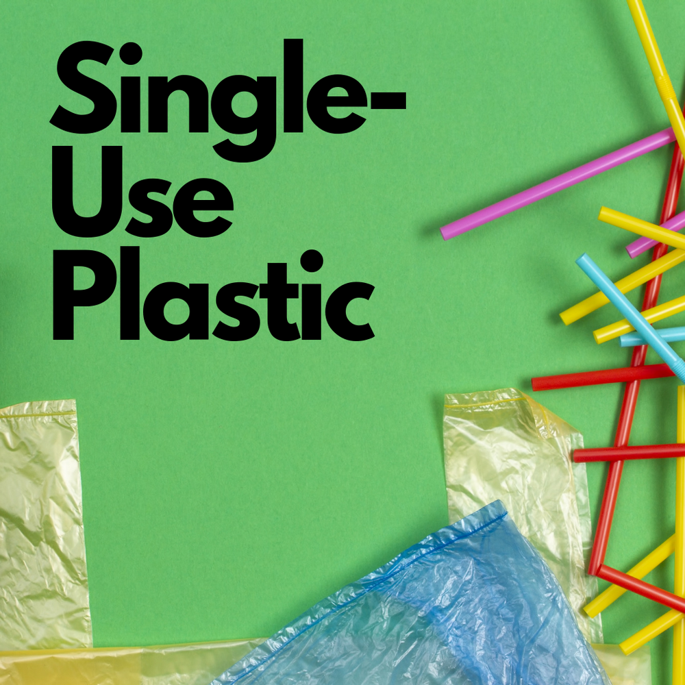 What is Single-Use Plastic?